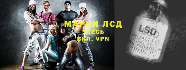 индика Калининец
