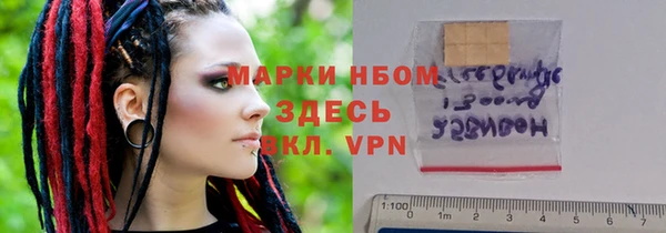 индика Калининец