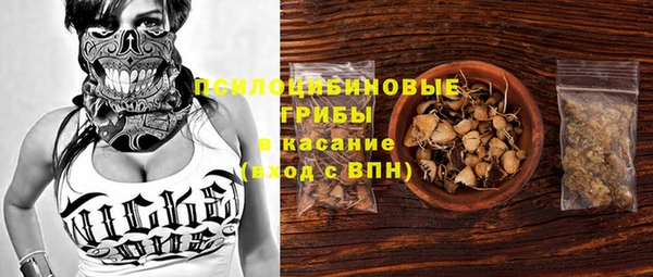 индика Калининец