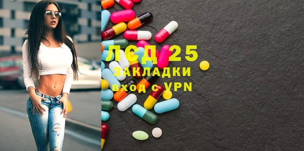индика Калининец