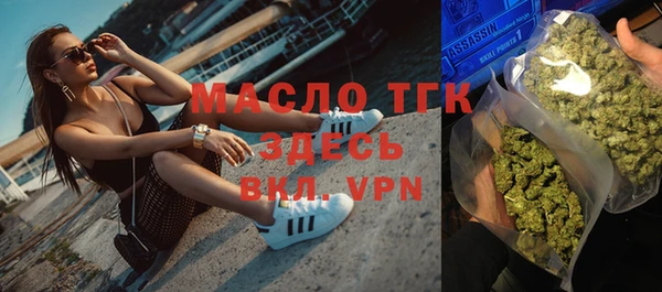 индика Калининец