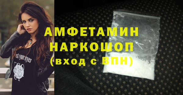 индика Калининец