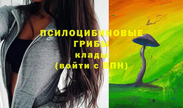 индика Калининец
