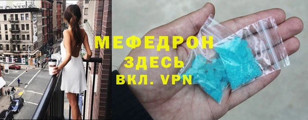 индика Калининец