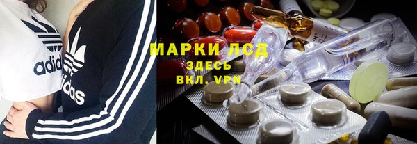 индика Калининец