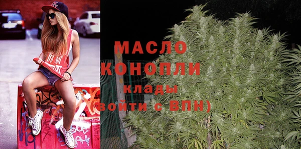 индика Калининец