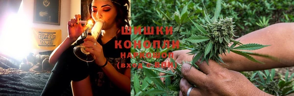 индика Калининец