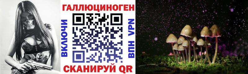 цена   Березники  Псилоцибиновые грибы мицелий 