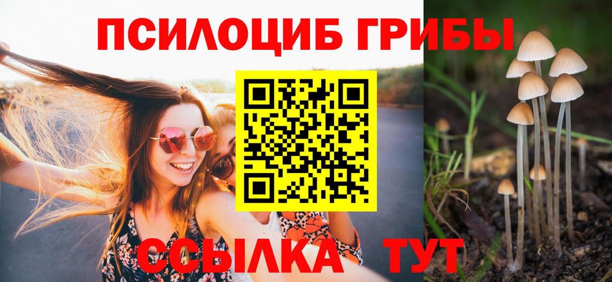 Березники  Галлюциногенные грибы Psilocybe  Вход с VPN 
