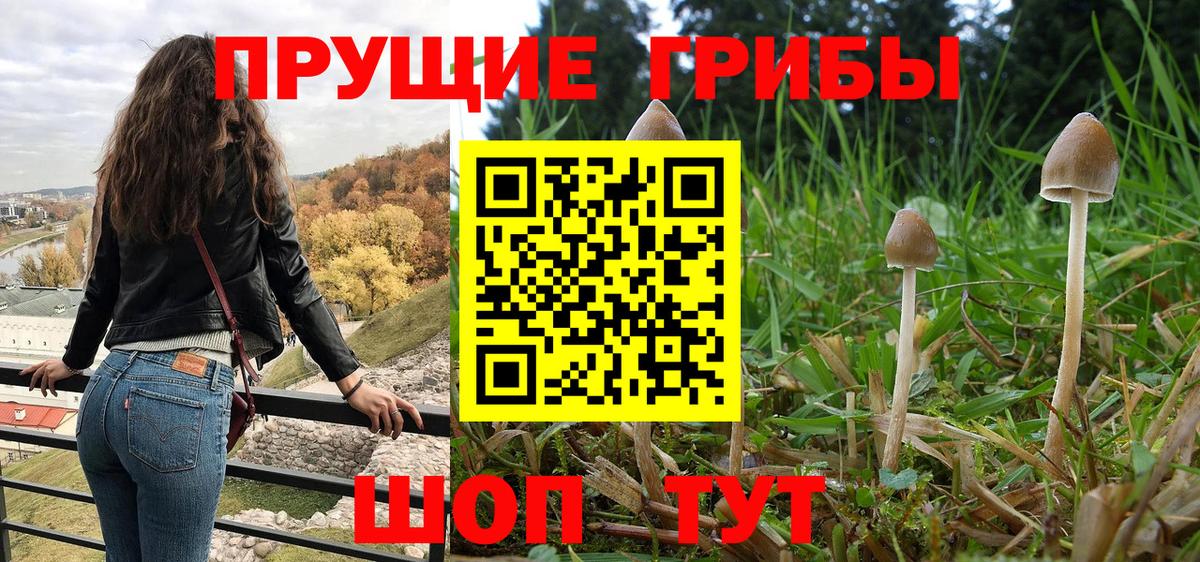 наркошоп  Галлюциногенные грибы MAGIC MUSHROOMS  Березники  Псилоцибиновые грибы Psilocybe 
