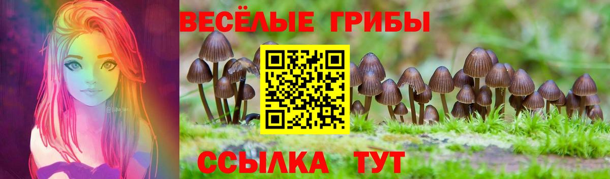 Галлюциногенные грибы GOLDEN TEACHER Березники